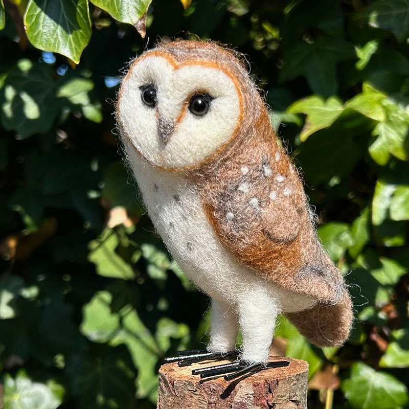 Little Barn Owl with Sarah
