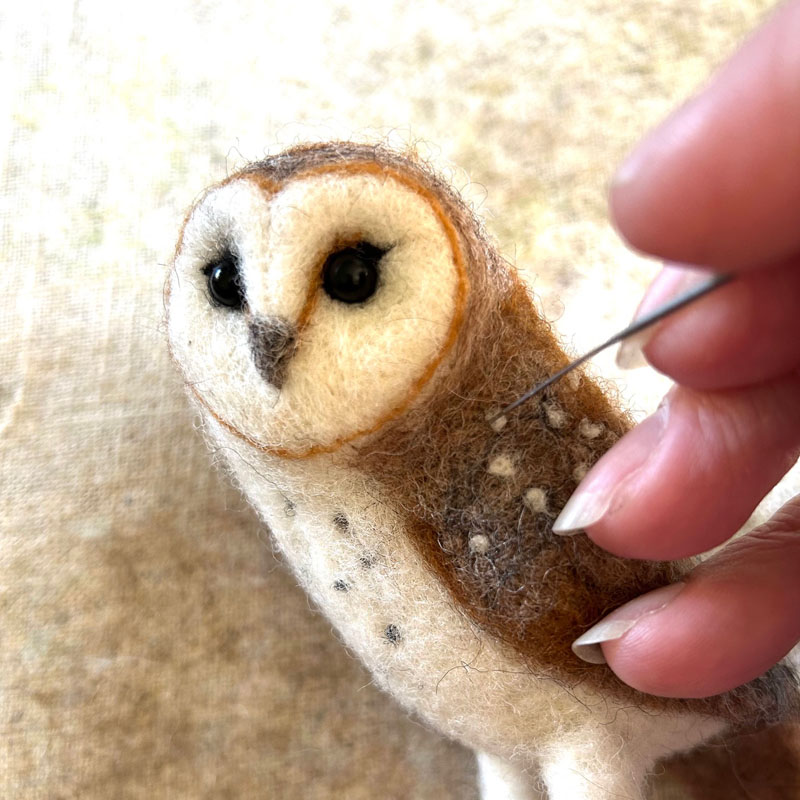 Little Barn Owl with Sarah